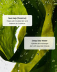 Refreshing Sea Kelp Serum