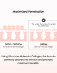 Collagen Ampoule