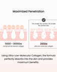 Collagen Cream
