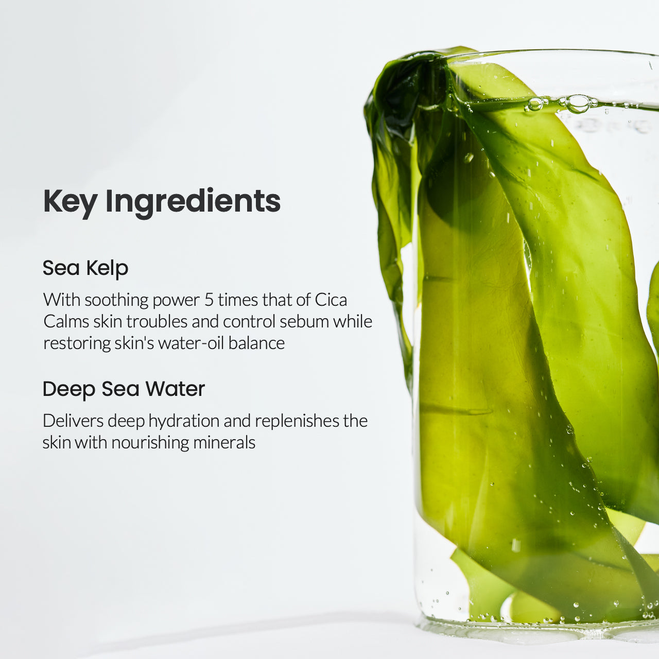 รายละเอียดสินค้า