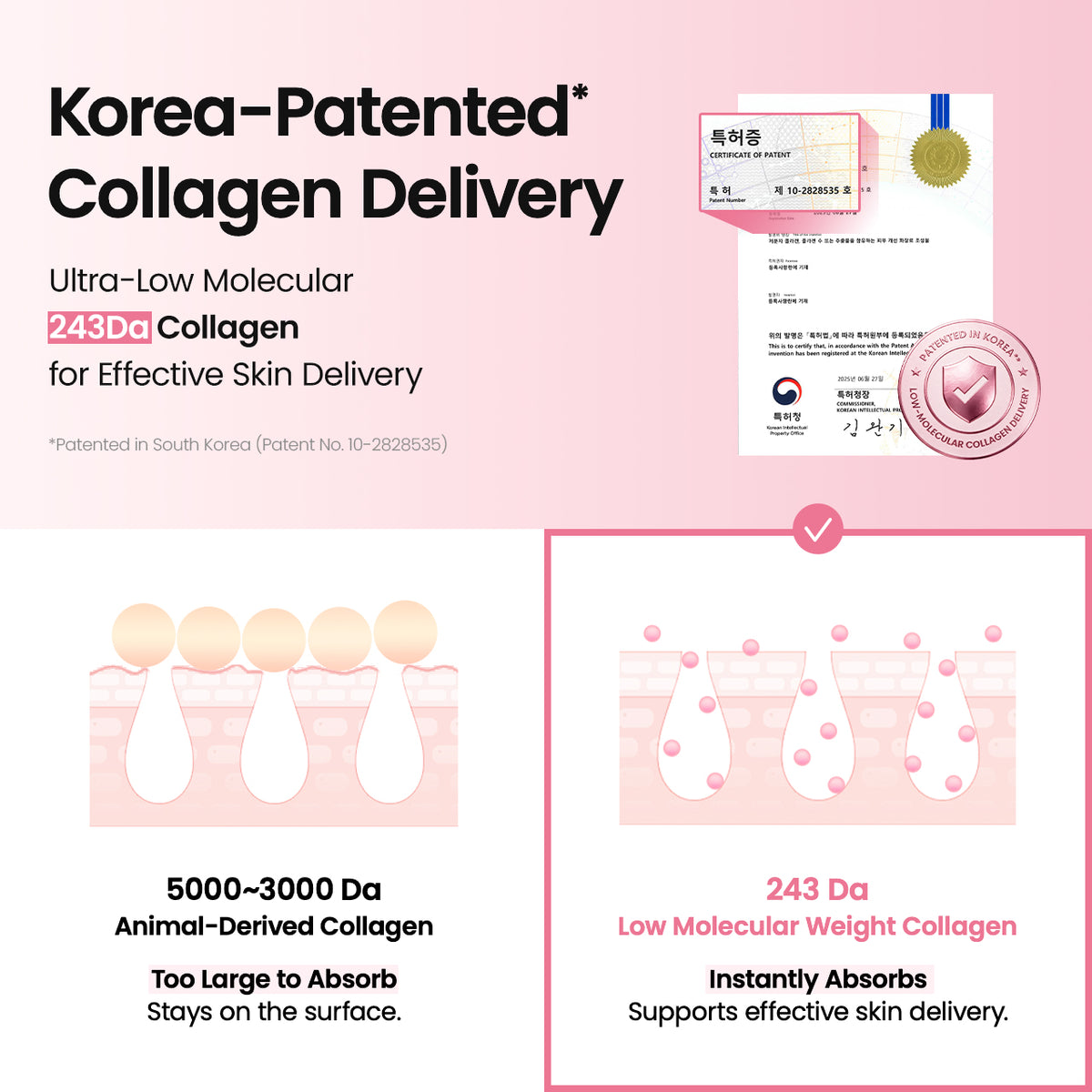 Biodance Collagen Peptide Serum