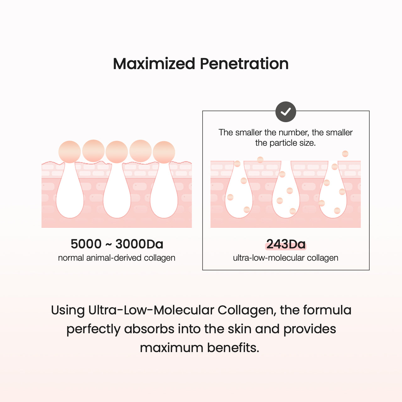 Collagen Ampoule