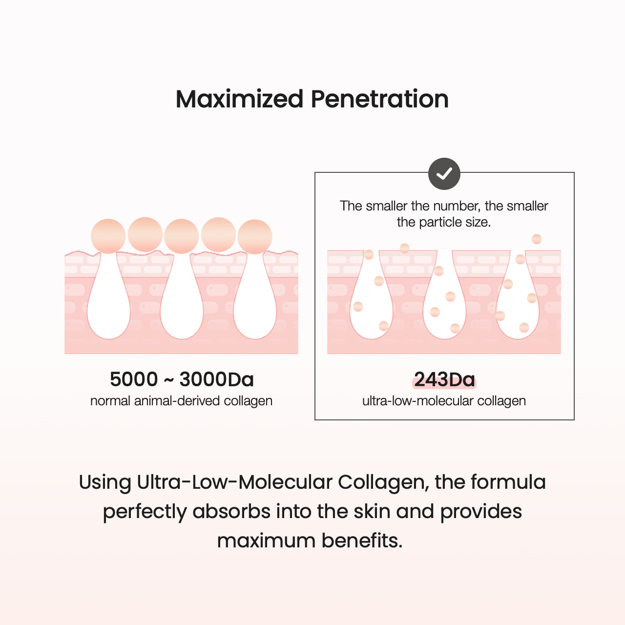 Collagen Cream